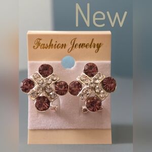 Fashion Jewelry Sparkling Brown and Silver Earrings